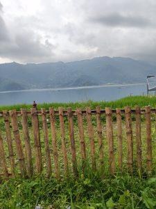 A wooden fence made of bamboo sticks stands in the foreground, partially obscured by lush green grass and wildflowers.