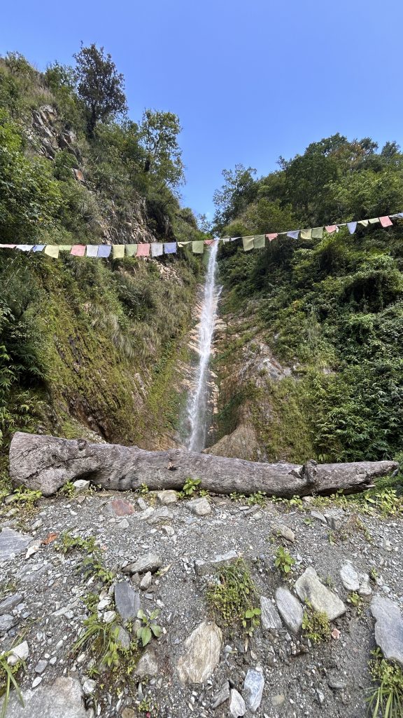 A serene natural scene featuring a waterfall cascading down a rocky hillside, surrounded by simple grasses and trees with a log visible in the foreground