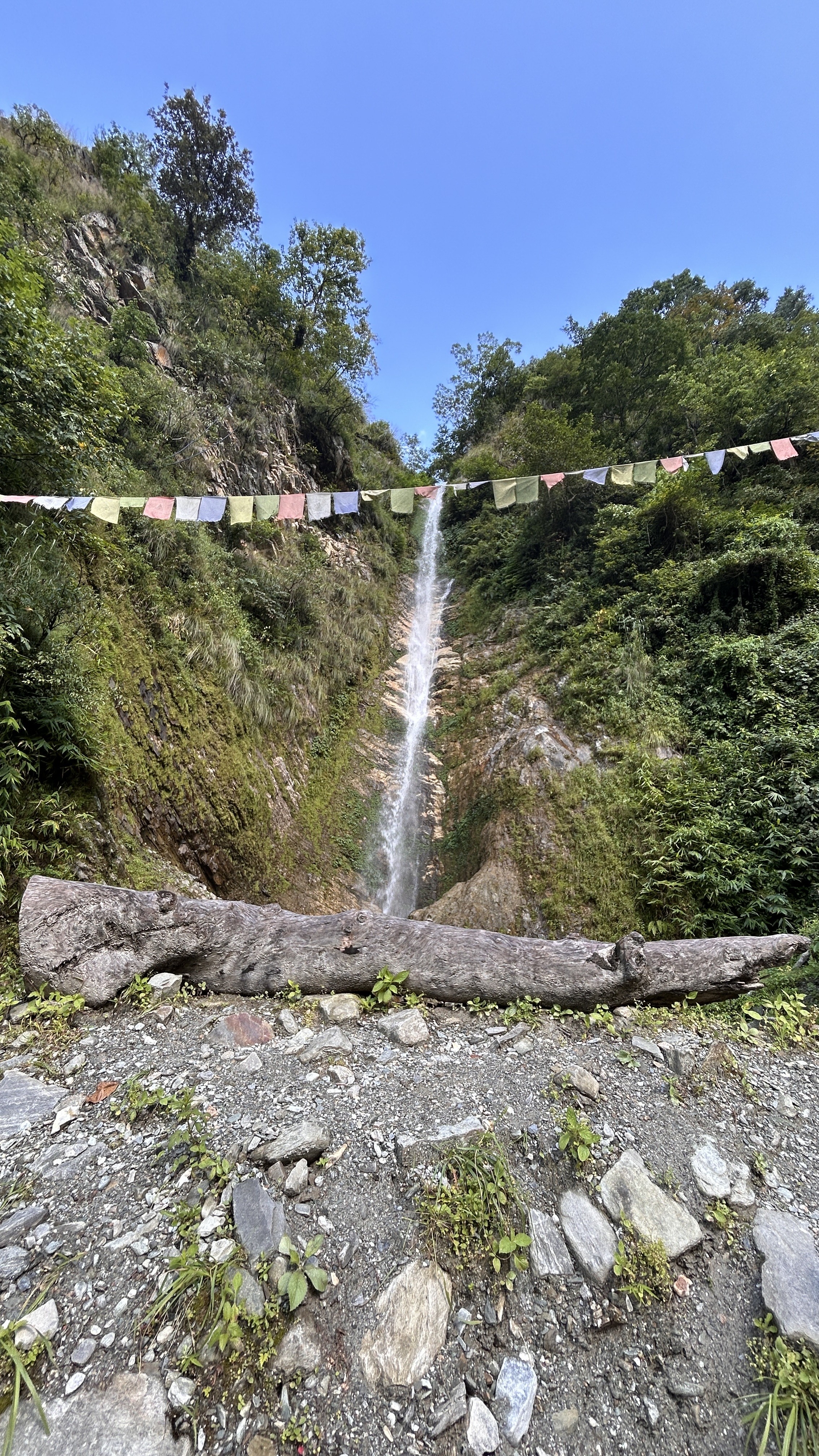 A serene natural scene featuring a waterfall cascading down a rocky hillside, surrounded by simple grasses and trees with a log visible in the foreground