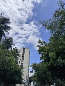 A view of a city street lined with trees on both sides, showcasing tall palm trees and leafy greenery. In the background stands a concrete building set against a bright blue sky with scattered white clouds. The scene captures a sunny day, emphasizing the contrast between the urban structure and natural elements.