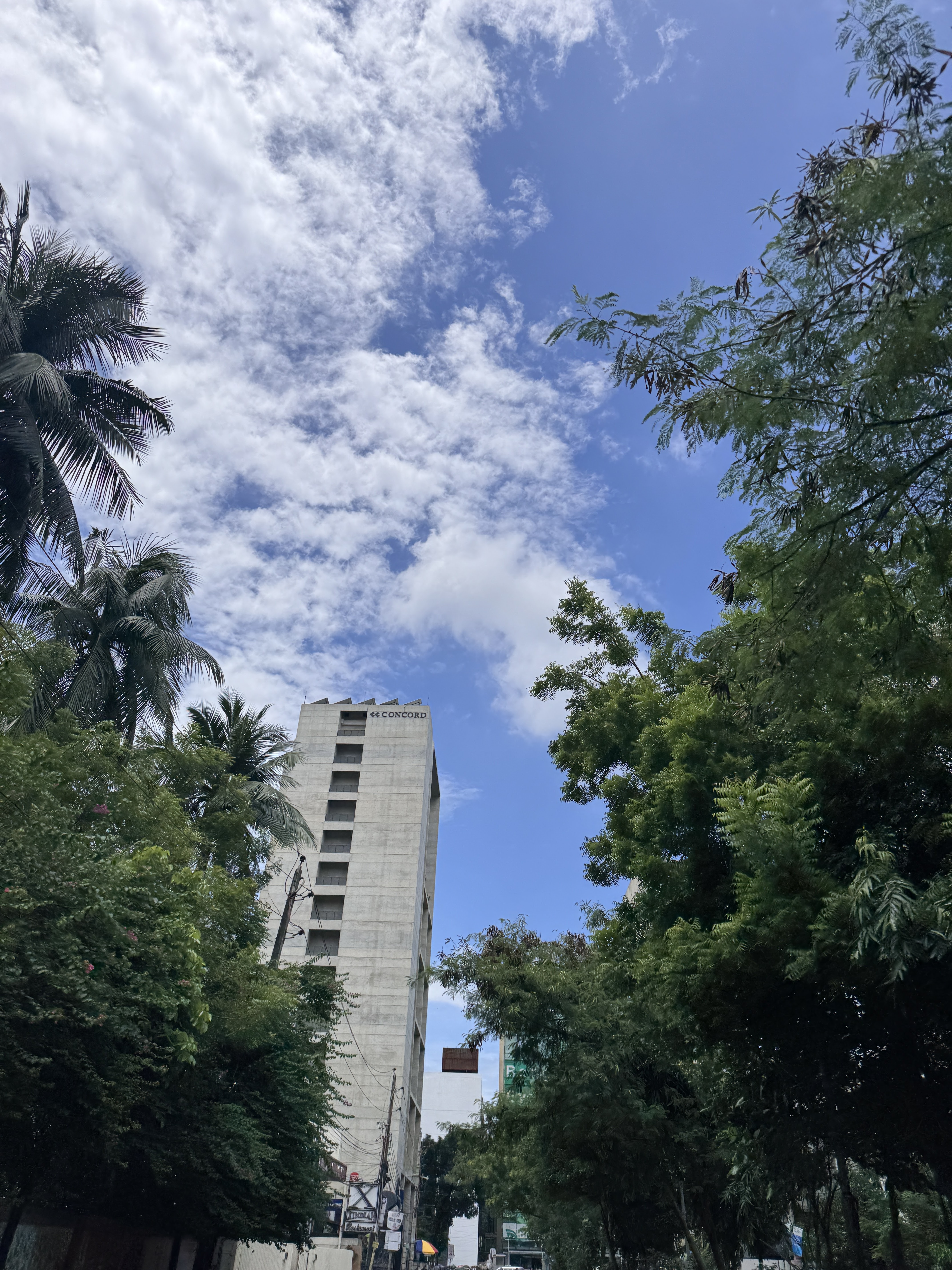 A view of a city street lined with trees on both sides, showcasing tall palm trees and leafy greenery. In the background stands a concrete building set against a bright blue sky with scattered white clouds. The scene captures a sunny day, emphasizing the contrast between the urban structure and natural elements.