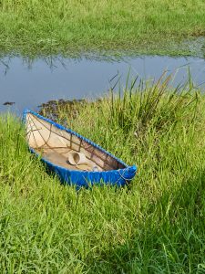 A small fiber boat with blue edges resting beside a canal in tall green grass. Shot in Ayamkulam, Mavoor, Kozhikode.