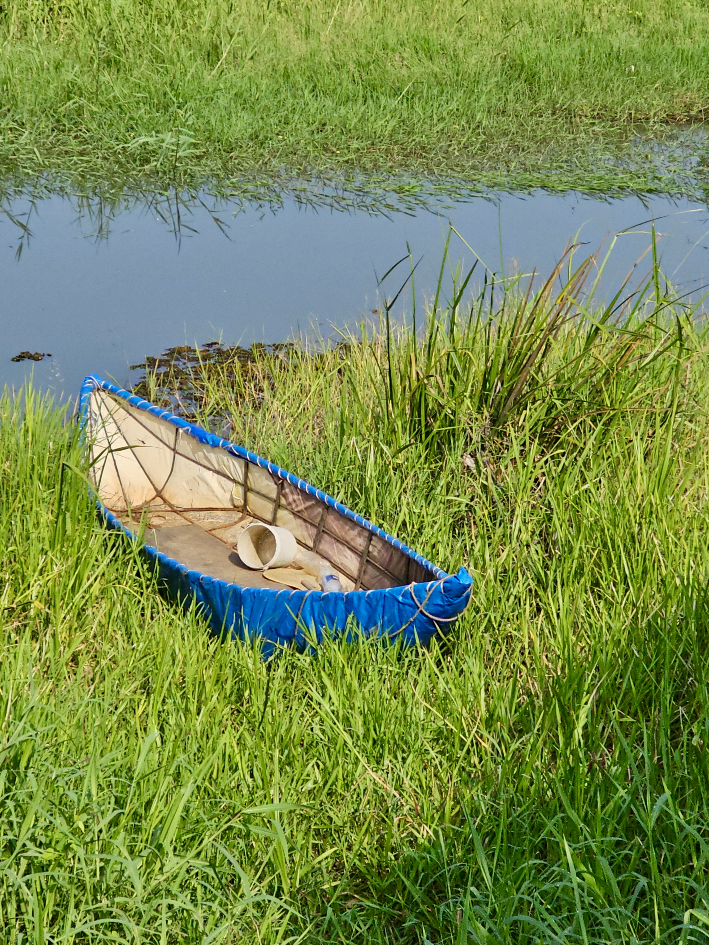 A small fiber boat with blue edges resting beside a canal in tall green grass. Shot in Ayamkulam, Mavoor, Kozhikode.