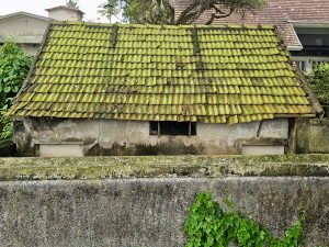 An aged building with weathered yellow-green clay tiles covered in moss, surrounded by walls and newer homes, photographed near Fort Kochi Beach, Kerala. 