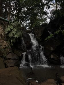 A small,cascading waterfall tumbles down a series of dark,mossy rocks into a shadowy pool below.The scene is set in a lush,forested area,with dense green foliage and large trees framing the upper part of the falls.The lighting is dim,giving the scene a cool,tranquil,and slightly moody atmosphere. 