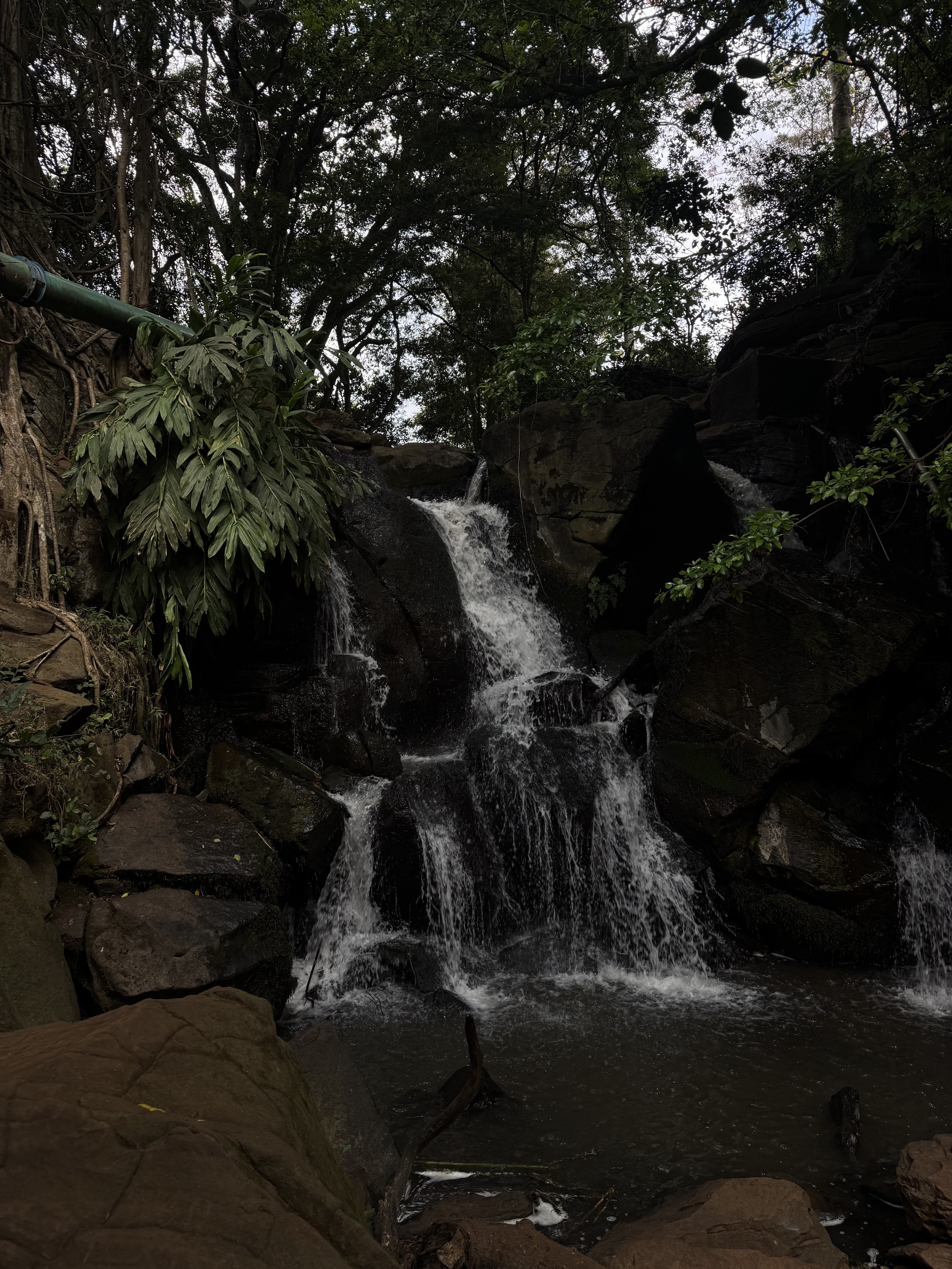 A small,cascading waterfall tumbles down a series of dark,mossy rocks into a shadowy pool below.The scene is set in a lush,forested area,with dense green foliage and large trees framing the upper part of the falls.The lighting is dim,giving the scene a cool,tranquil,and slightly moody atmosphere.