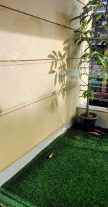 Potted plant casting shadow on cream wall with artificial grass flooring and sunlight streaming through grid window