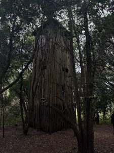 A tall, weathered wooden tower structure, seemingly built from logs and planks, stands hidden within a dense, dark forest.The surrounding trees and undergrowth are thick, giving the structure an isolated and mysterious appearance.