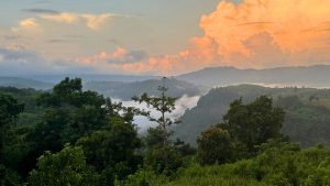 Green hills and dense forest in Bandarban under a dramatic cloudy sky, showcasing the natural beauty of the mountain landscape.