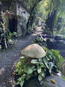 A scenic path through lush greenery leads to rustic buildings, with mushroom sculptures and pebbles along the way.