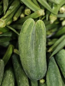 A double-shaped cucumber stands out among fresh okras at a rural market in Kozhikode, Kerala, captured with shallow focus to highlight its texture.
