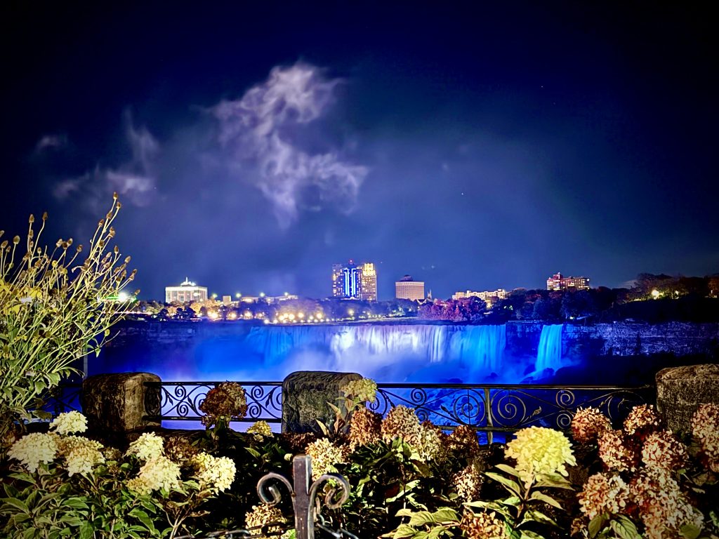 A nighttime view of Niagara Falls illuminated in vivid blue light, framed by flowers and plants in the foreground and a decorative iron railing. The skyline in the background glows with city lights and tall buildings, while mist from the falls rises into the dark sky, blending with faintly lit clouds.