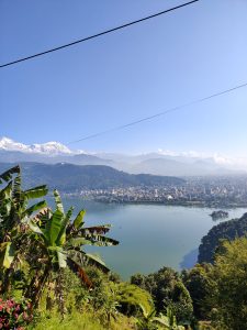 A scenic view of a tranquil fewa lake surrounded by lush greenery, with palm-like banana plants in the foreground. 
