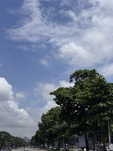 Airplane flying over a tree-lined street in Dhaka under a bright blue sky.