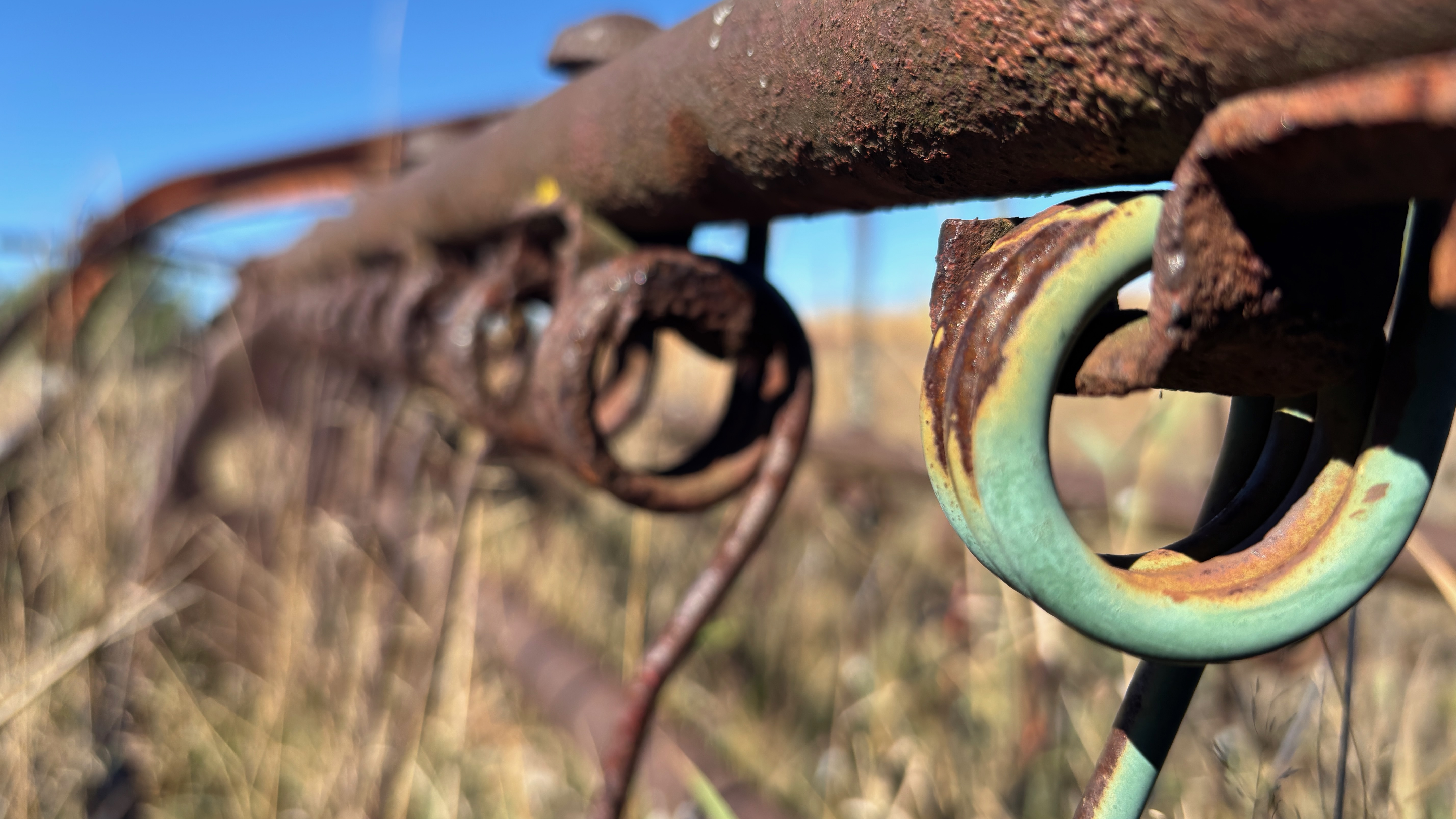 Closeup of rusty tines on a hay rake, abandoned in a field.