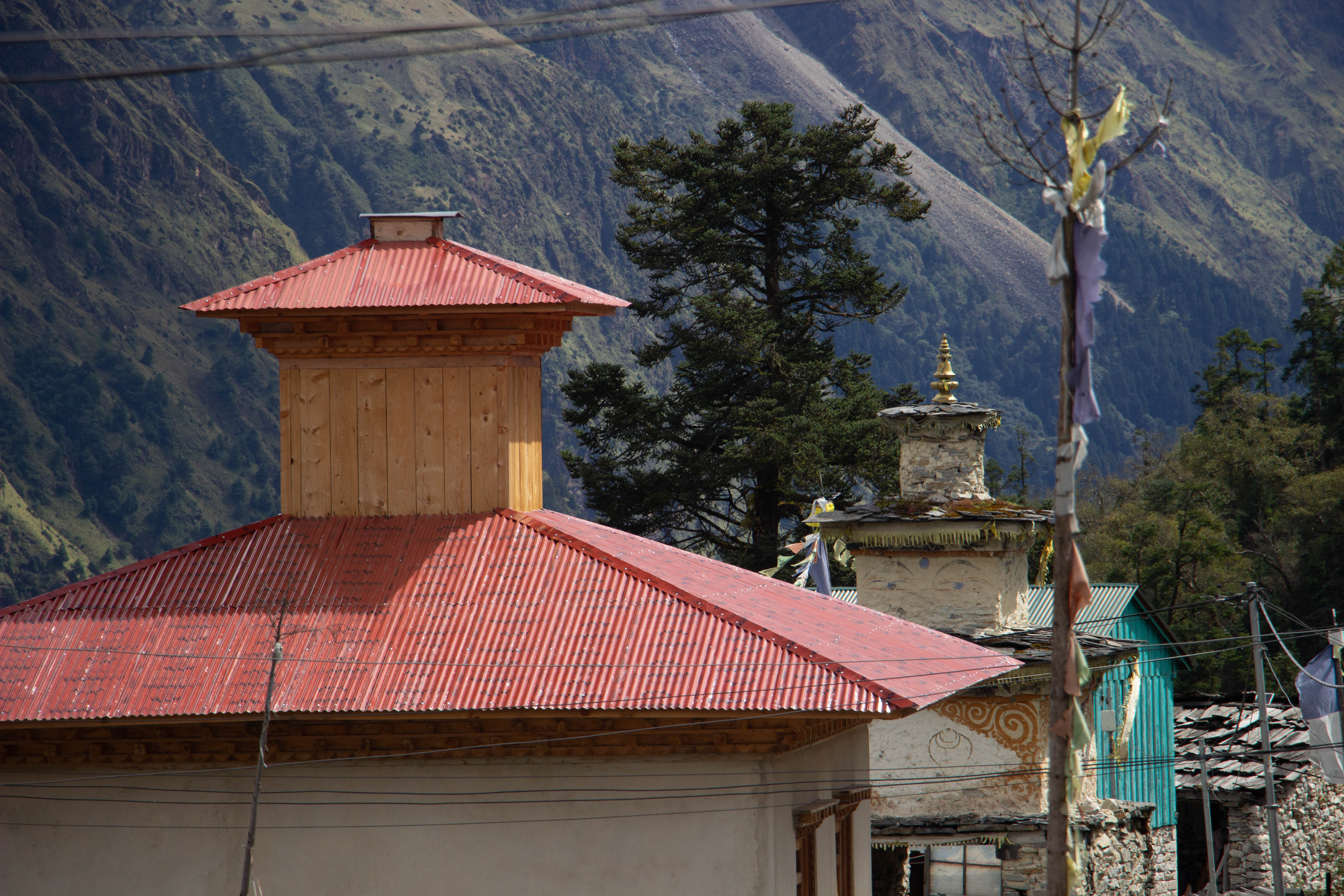 A scenic view featuring two distinct buildings with red roofs and wooden structures.