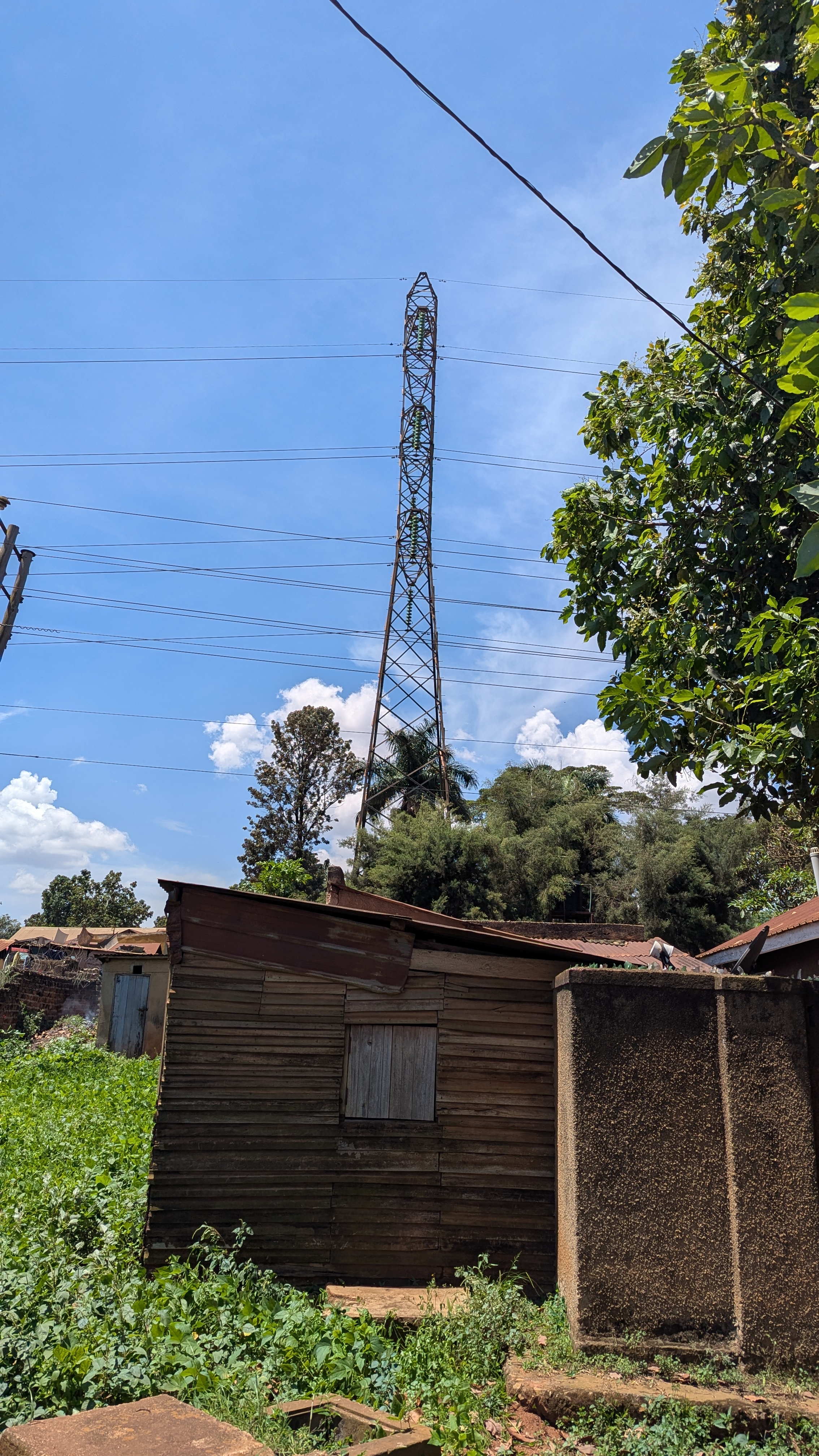 

A communication tower stands behind a wooden shed amid trees and overgrown grass.
