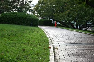 A promenade in the harbor. There is a brick-paved promenade between the plants. This was taken at a photo walk event at the Yokohama WordPress meetup.