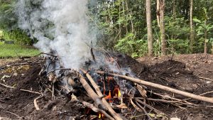 A small fire burning in a clearing surrounded by trees, with smoke rising into the air.