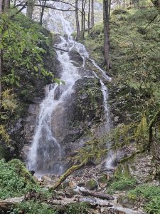 A cascading waterfall flows down a rocky cliff surrounded by lush green vegetation and tall trees.