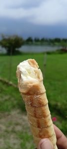 A hand holding a cream roll on green grass.
