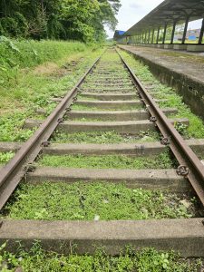 Overgrown railway tracks at the now-defunct Cochin Harbour Terminus in Kochi. The tracks are covered in green moss and grass, indicating that nature is slowly reclaiming the space. 