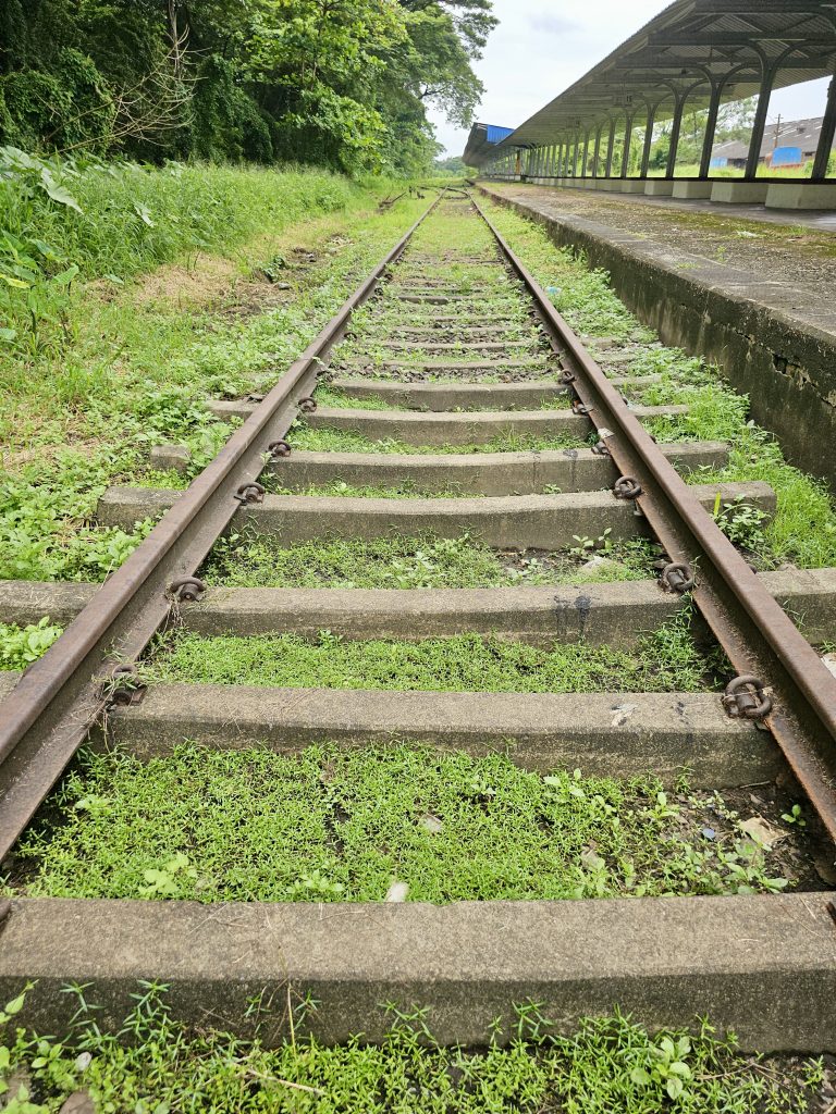 Overgrown railway tracks at the now-defunct Cochin Harbour Terminus in Kochi. The tracks are covered in green moss and grass, indicating that nature is slowly reclaiming the space.