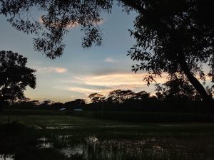 Sunset over a tranquil rural landscape with silhouetted trees framing a sky painted in soft blues and oranges.