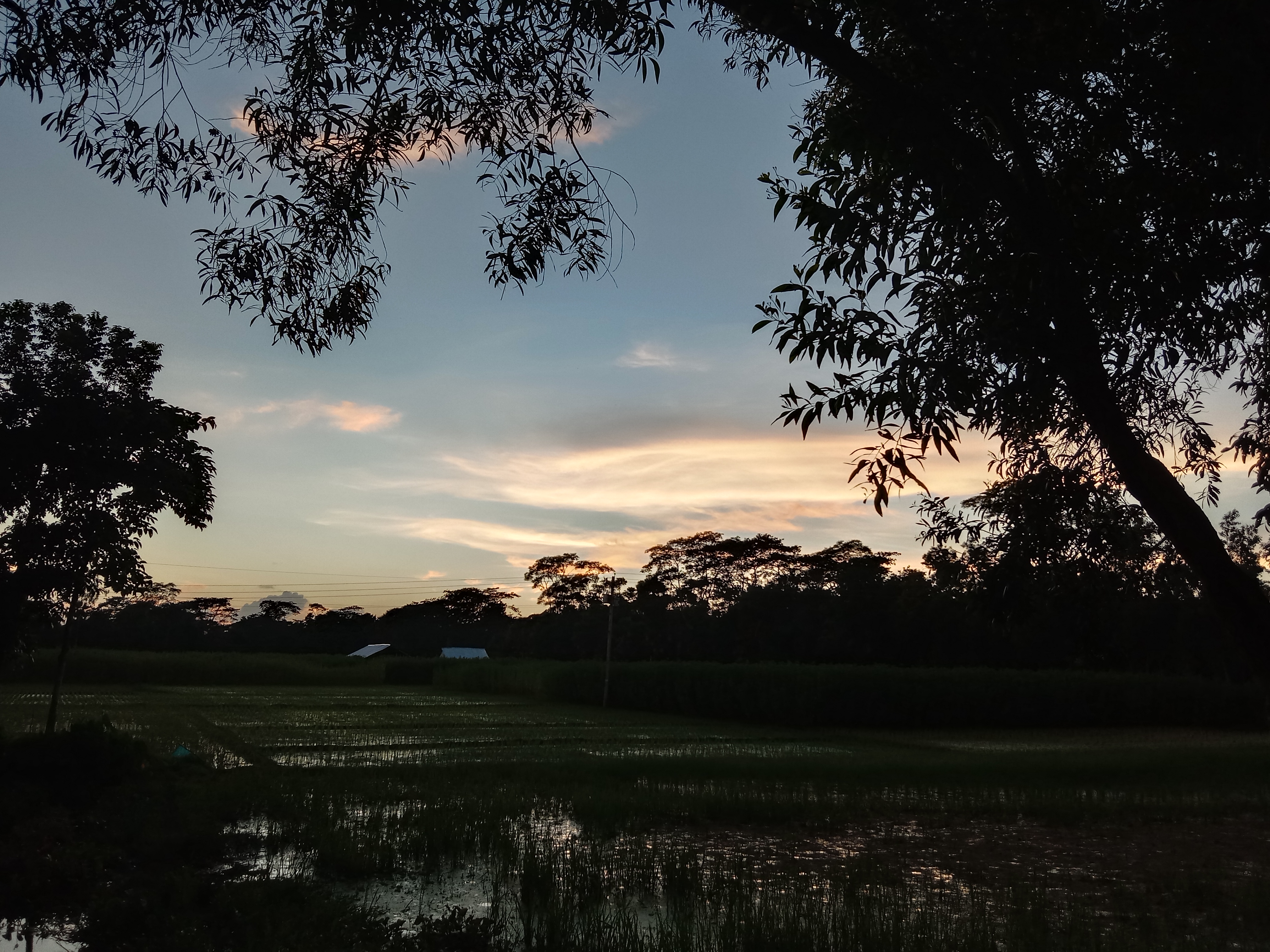 Sunset over a tranquil rural landscape with silhouetted trees framing a sky painted in soft blues and oranges.