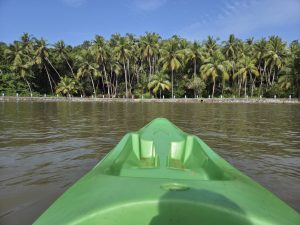

A green kayak faces calm water, with palm trees and a stone wall along the shore.