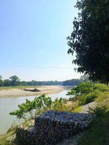 A wide, calm river winding through green scenery with a stone wall and patches of vegetation along the bank under a clear, bright sky with distant trees.