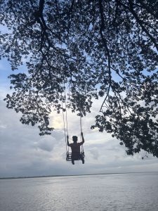 A person sitting on a swing hanging from a tree branch, overlooking a calm body of water under a cloudy sky.