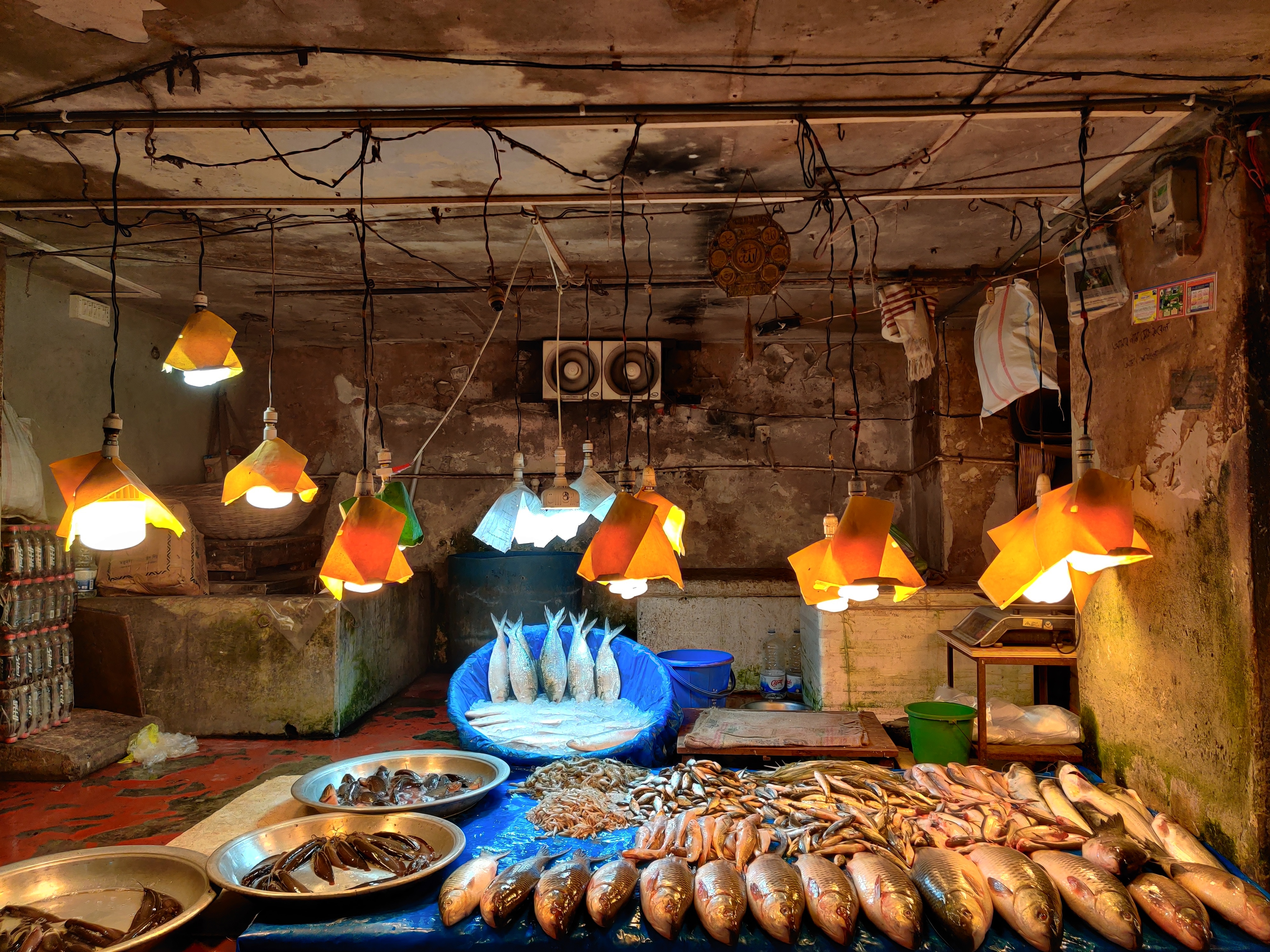 A rustic seafood market stall lit by colorful lights displays a variety of fish on blue and silver trays, surrounded by aged walls, hanging wires, and scattered crates and bags that add to its lively, authentic atmosphere.