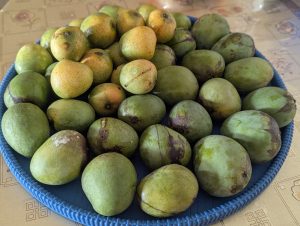 A basket filled with fresh green and ripe yellow mangoes on a table