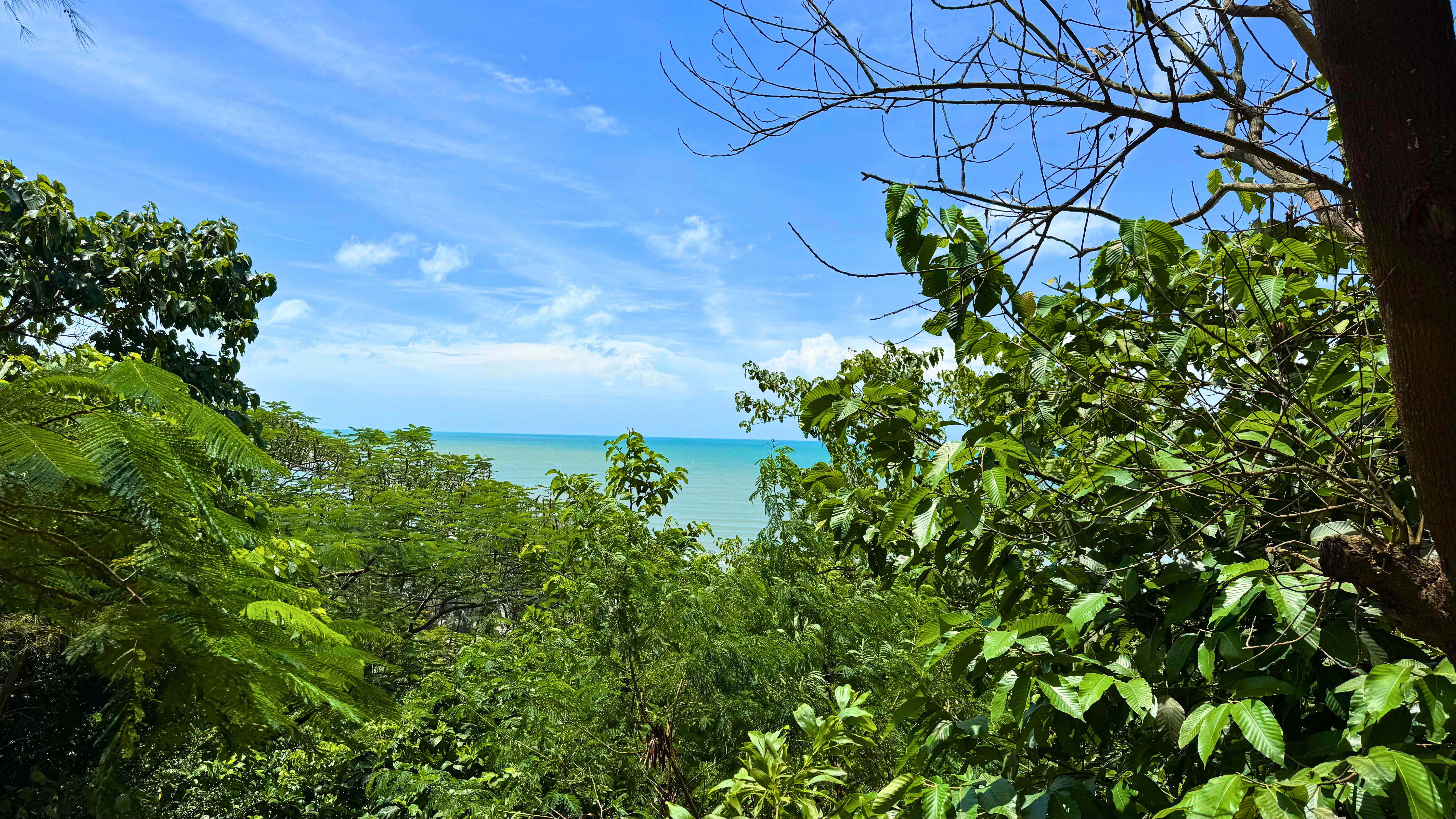 Bay of Bengal view from Himchori Top Pick