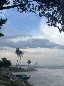 A serene waterfront scene with a large tree on the left, palm trees, and a small boat near a stone embankment under a partly cloudy sky