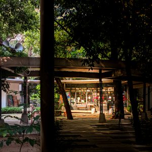 A modern outdoor space with a glass-fronted library shop surrounded by greenery, flowers, and penguin sculptures along a paved path.