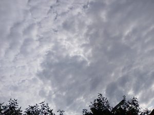 A dark, cloudy sky seems like rainfall is about to begin, with some branches of trees showing leaves on one edge of the picture.