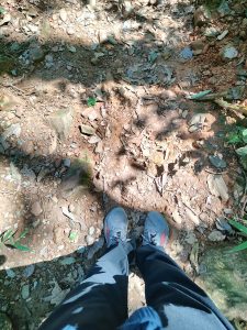 A close-up view of a pair of feet wearing gray sports shoes standing on a dirt and rocky trail.