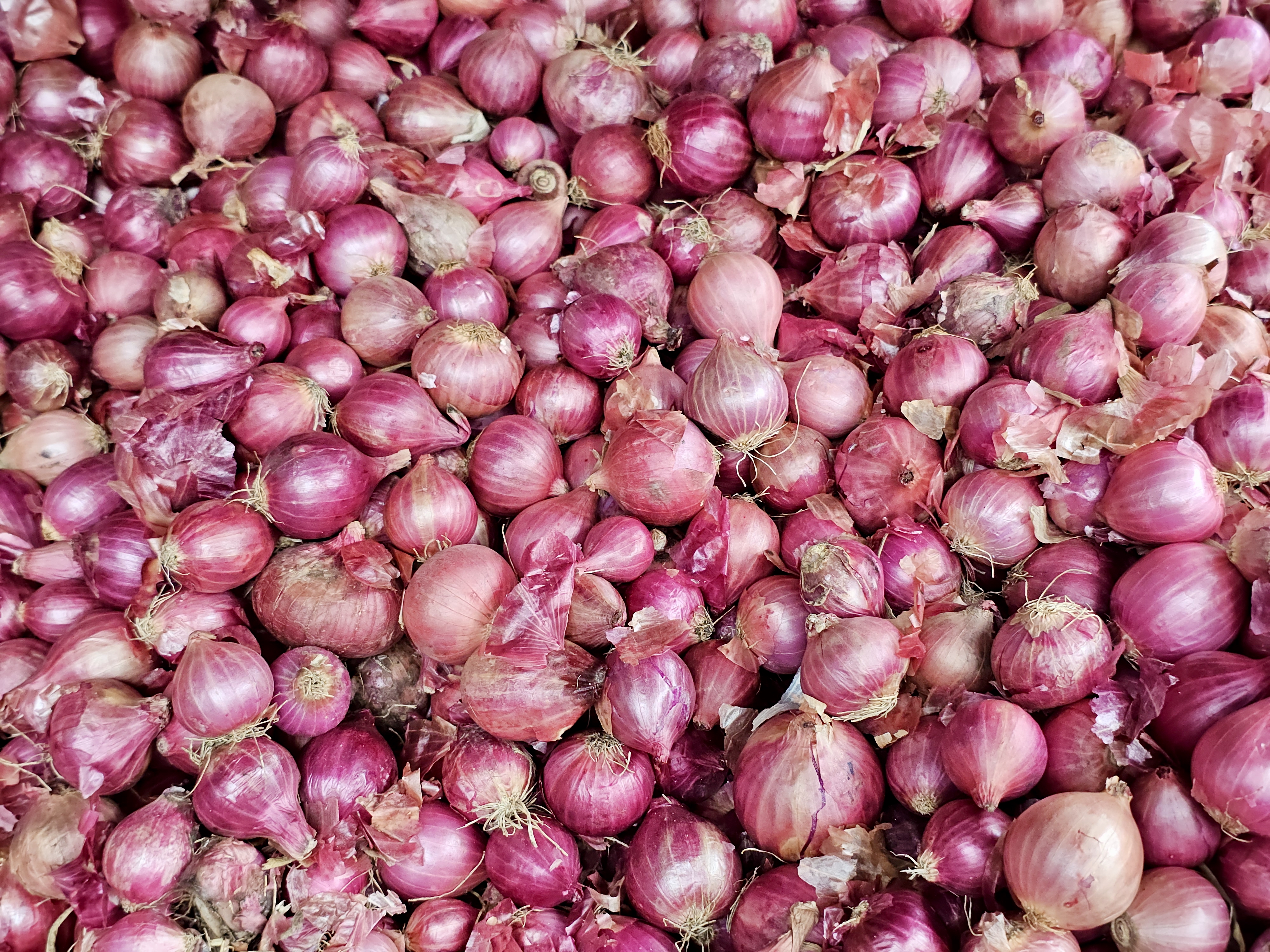 A pile of fresh red onions stacked for sale, showing natural textures and colors. Photo taken at a market in Perumanna, Kozhikode, Kerala. 