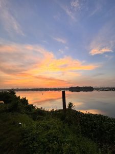 A sunset over a calm river reflects orange, pink, and blue hues, with green foliage in the foreground.
