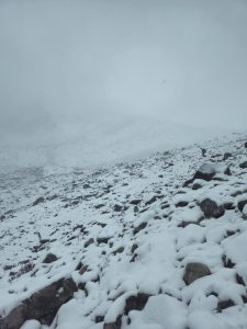 A snowy landscape featuring a rocky terrain, with a thick fog covering the background.