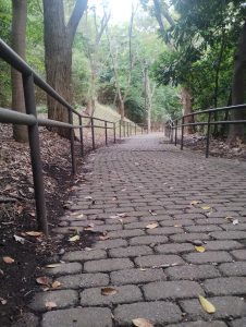 A walking pathway with railing and trees on either side of the road, Honmoku Summit Park (Yokohama City, Kanagawa Prefecture, Japan)