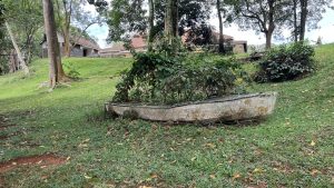 An old abandoned boat filled with vegetation sits on the ground with a brown tiled building in the background.