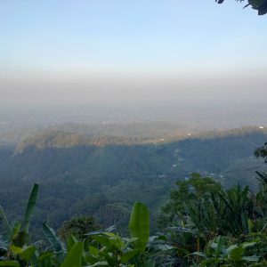 A vast view of green hills in Bandarban, Bangladesh, covered with dense trees and vegetation, seen from a high vantage point with banana leaves in the foreground and a soft morning haze blending into the clear blue sky above.
