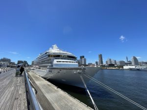 A large cruise ship docked alongside a wooden pier, with modern skyline buildings in the background under a clear blue sky. 