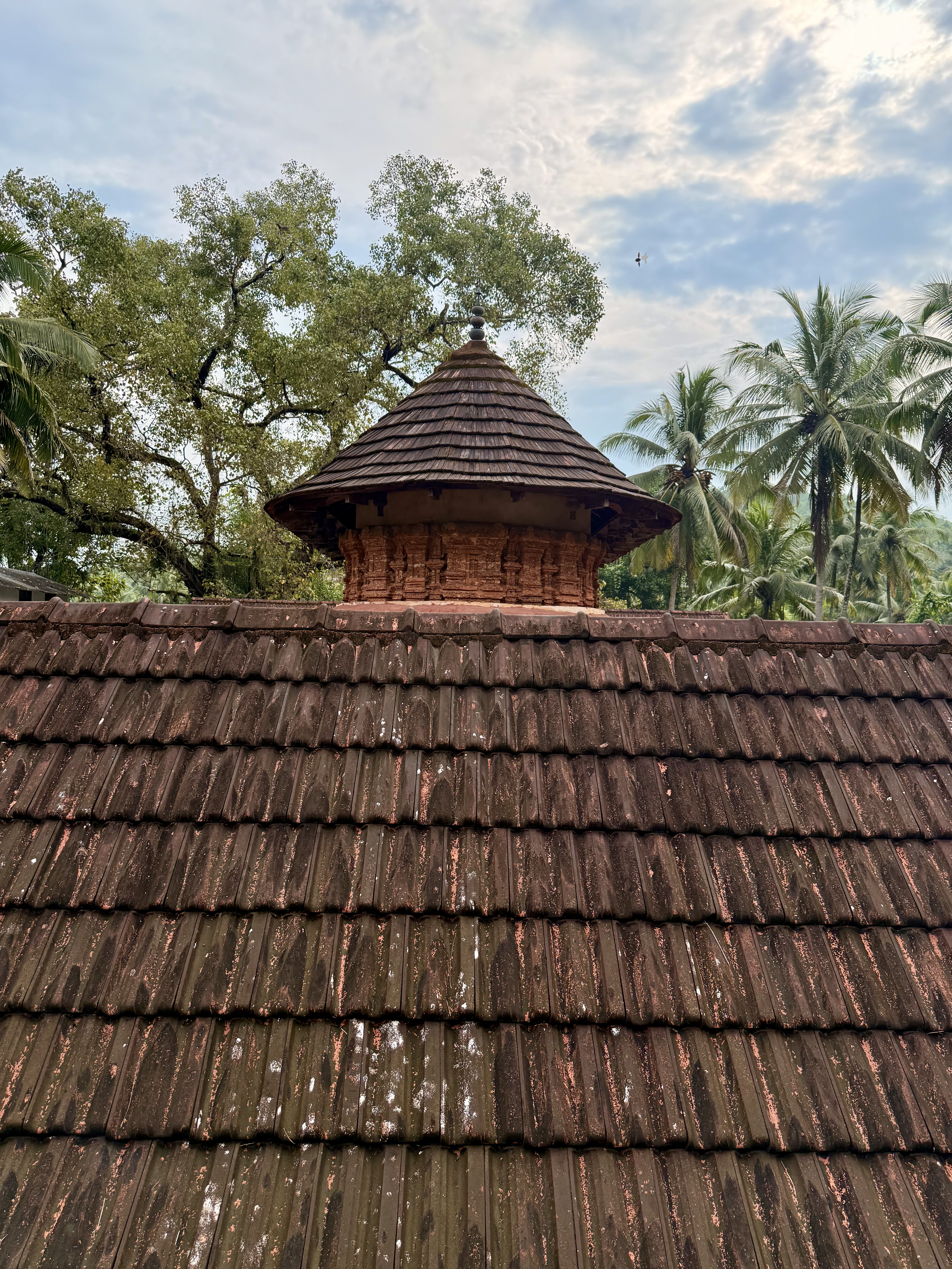 The top view of a sloped clay tile roof with a small round temple shrine visible above it. Coconut trees and a cloudy sky form the background. Captured from Sree Shiva Vishnu Temple, Perumanna, Kozhikode. 