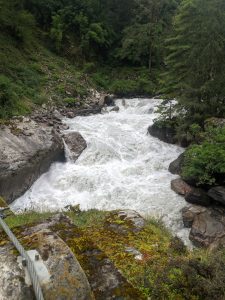A turbulent river cascades over rocks, surrounded by lush greenery and dense trees. The water appears frothy and rapid, flowing powerfully through a rocky landscape with patches of grass and moss in the foreground.