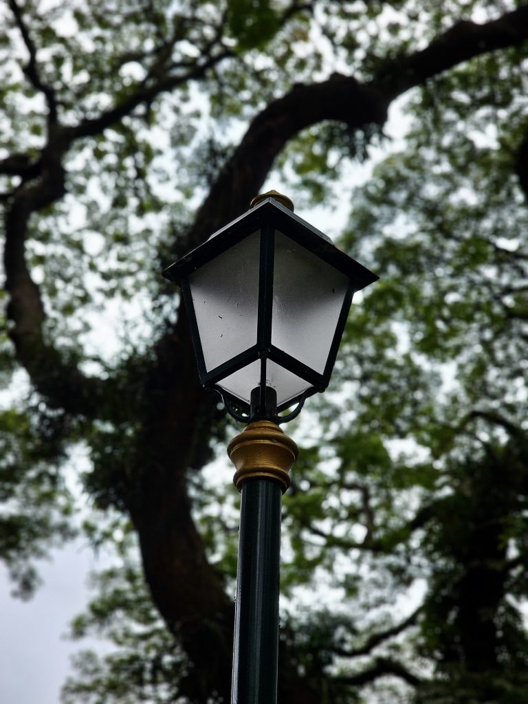A vintage-style street lamp with gold trim stands tall under leafy trees in Fort Kochi, Kochi, an aesthetic blend of nature and heritage design.