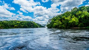 A scenic view of the Nile at Murchison Falls, with green forests, blue skies, and mist from the waterfall in the distance.